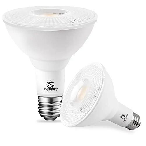 Energetic PAR30 LED Bulbs, Flood Light Outdoor Indoor 10 Watt (75 Watt Equivalent), 5000K Daylight, 1000 Lumens, E26 Base, Dimmable, Waterproof LED Recessed Light Bulbs for Security (2 Pack)