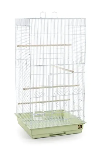 Prevue Pet Products SPECONO1818H-SG Tall Tiel Cage, Sage Green